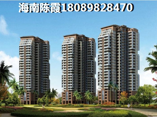 购房者如何看待海地春天? 购房者如何看待海地春天?