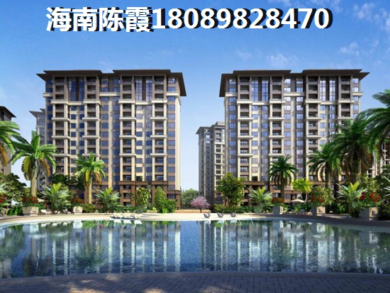 海南醉纸得买房的楼盘