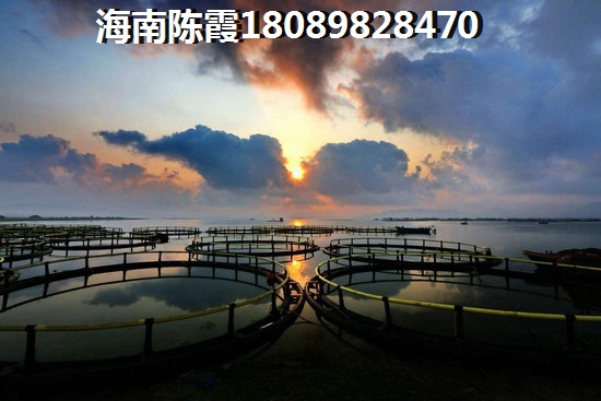 金碧海岸适合老人养老，海南澄迈那里买房便宜养老合适